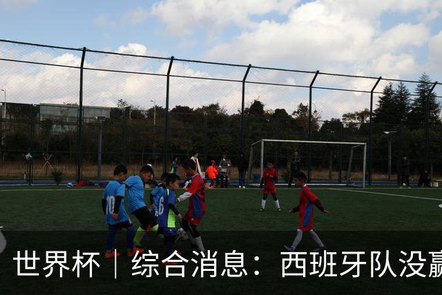 世界杯｜综合消息：西班牙队没赢 亚洲球队不败