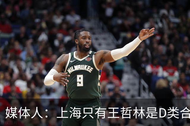 媒体人：上海只有王哲林是D类合同 剩余两个顶薪或给张镇麟李弘权