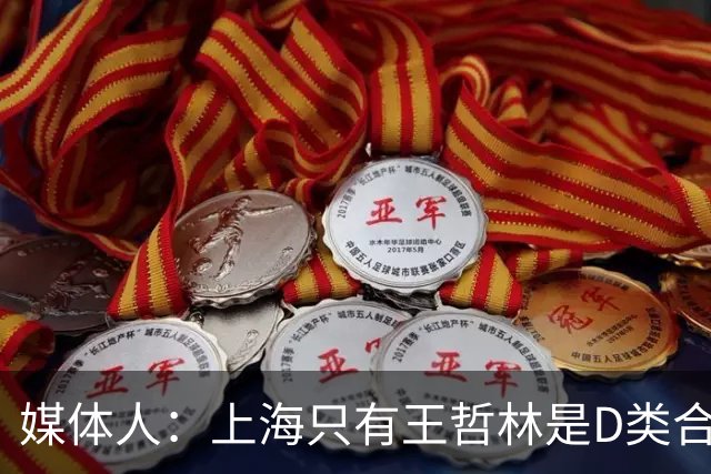 媒体人：上海只有王哲林是D类合同 剩余两个顶薪或给张镇麟李弘权