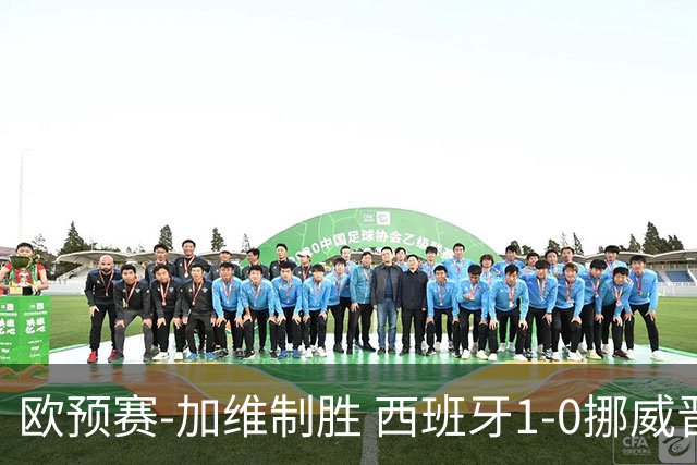 欧预赛-加维制胜 西班牙1-0挪威晋级欧洲杯正赛