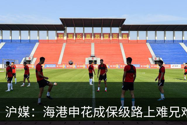 沪媒：海港申花成保级路上难兄难弟，两队都遭遇防线、伤病等问题