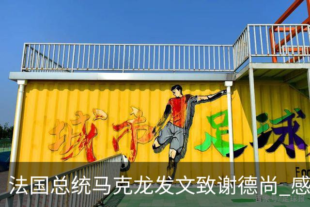 法国总统马克龙发文致谢德尚 感谢他带来的传奇胜利