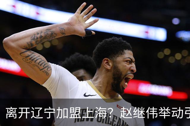 离开辽宁加盟上海？赵继伟举动引猜想，卢伟表态有深意 1队更合适
